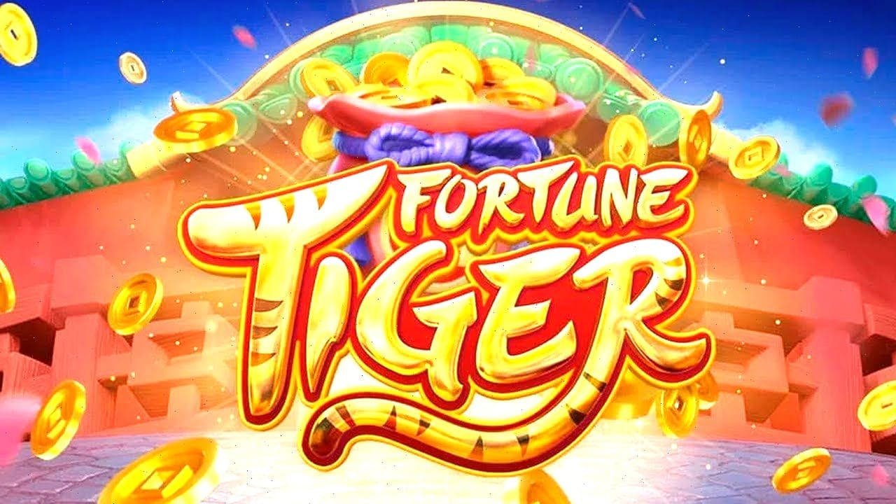 nnbet bet